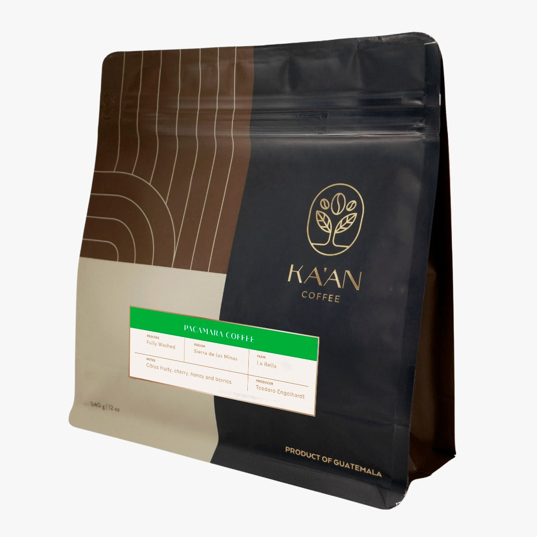 PACAMARA COFFEE (340g)